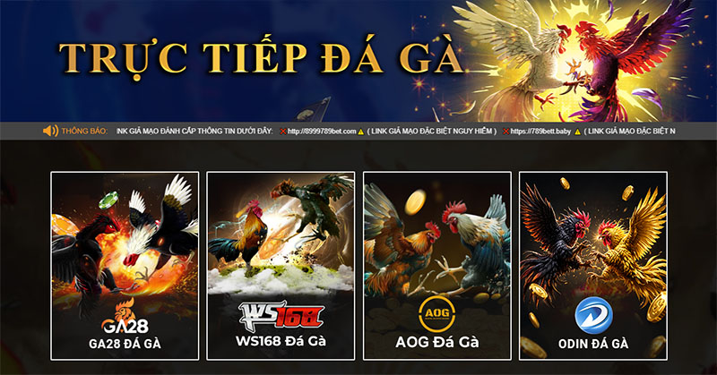 Read more about the article Tham gia M88 nhận 200% thưởng chào mừng gà đá trực tuyến